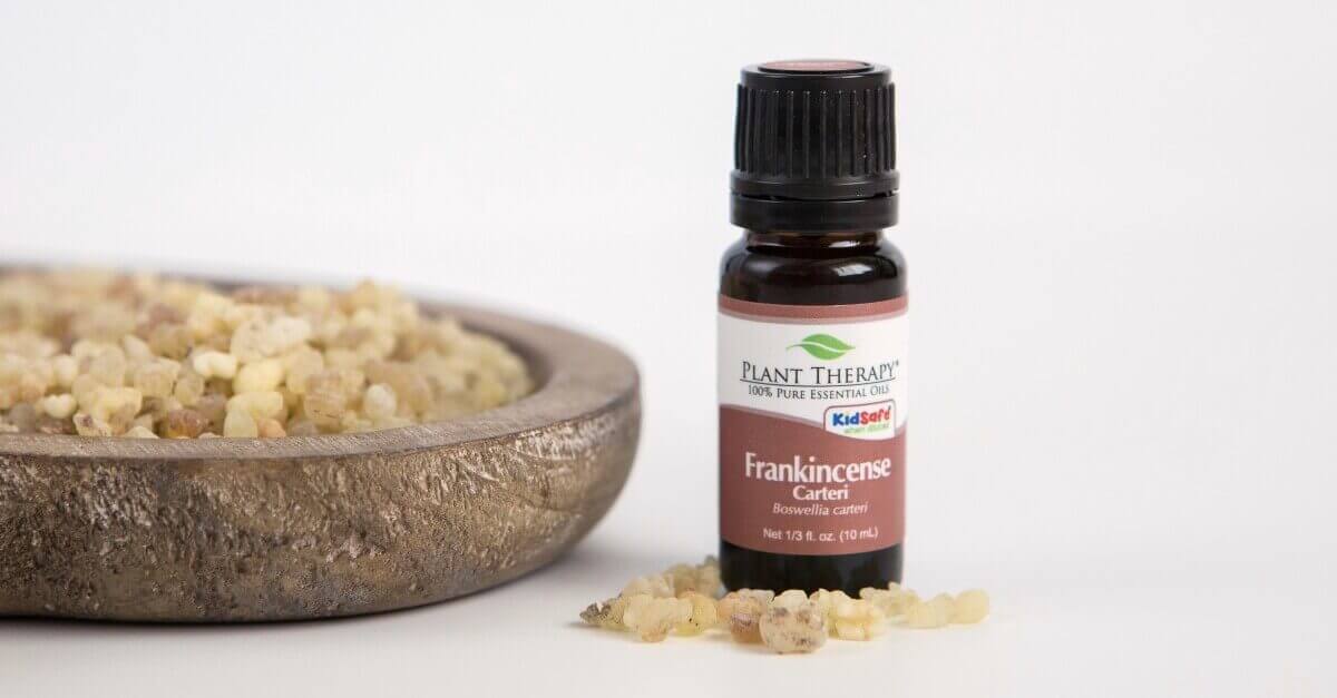 4 Ways to Use Frankincense Carteri: Our Essential Oil Spotlight of the Week