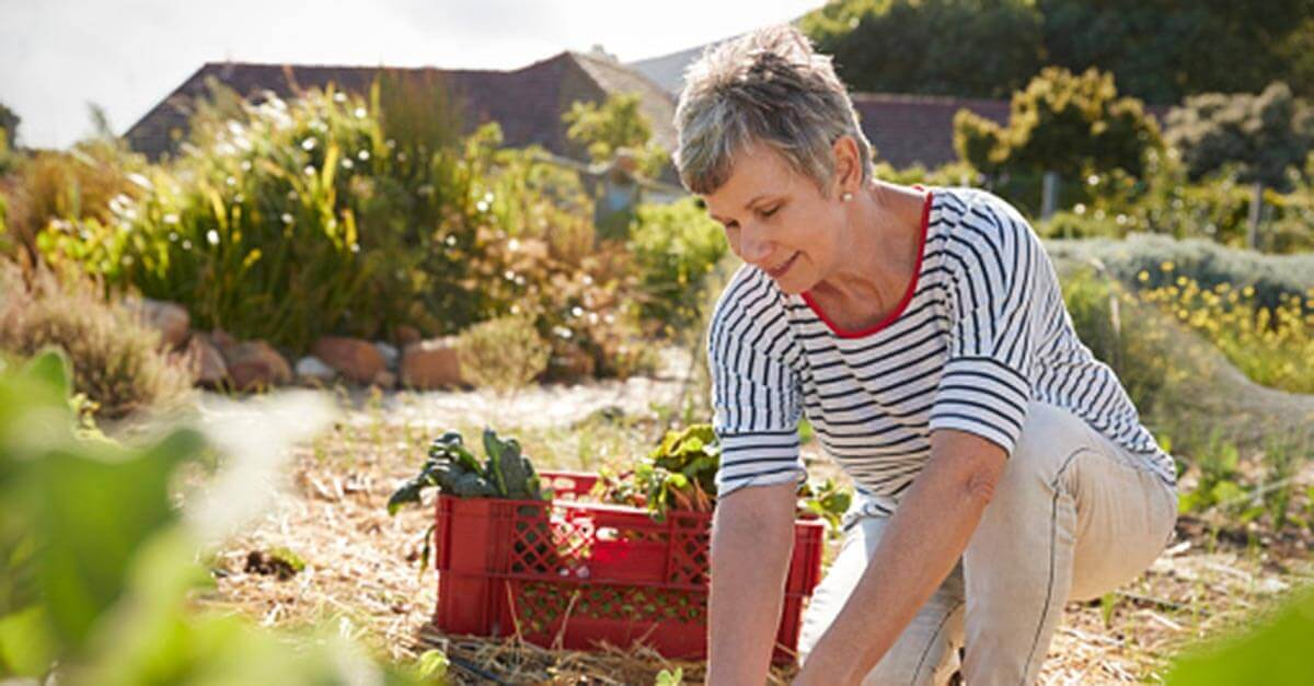 Woman gardening outdoors organic essential oils