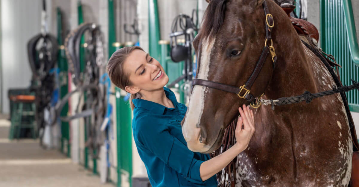 Essential oils can benefit the health of horses when used responsibily