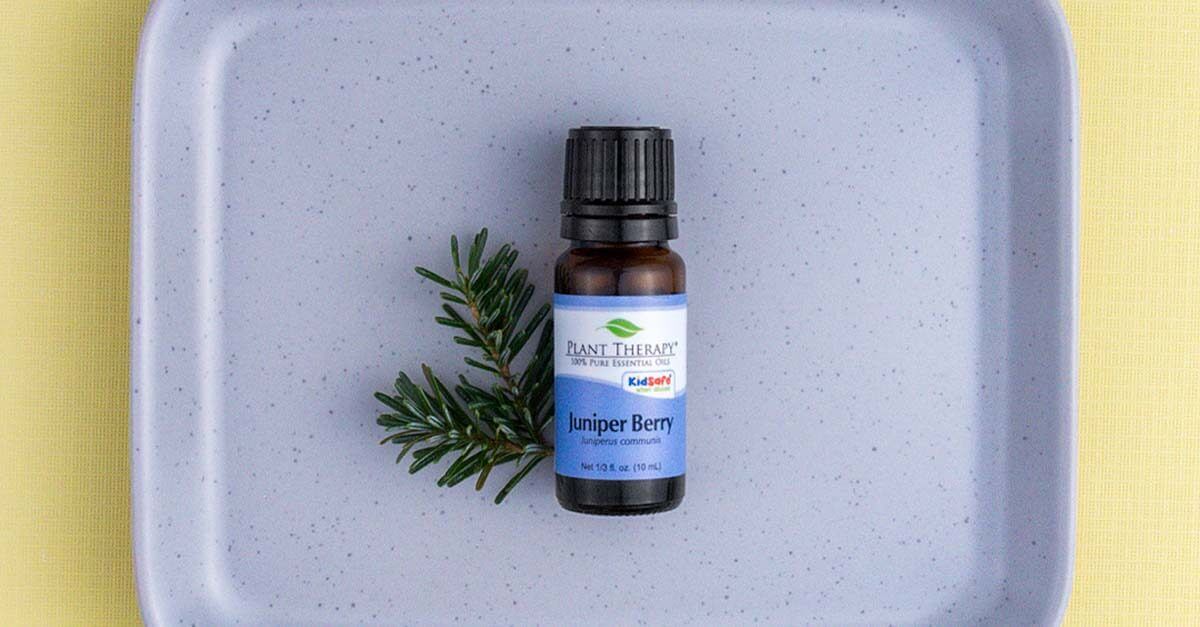 spotlight essential oil of the week: Juniper Berry Plant Therapy