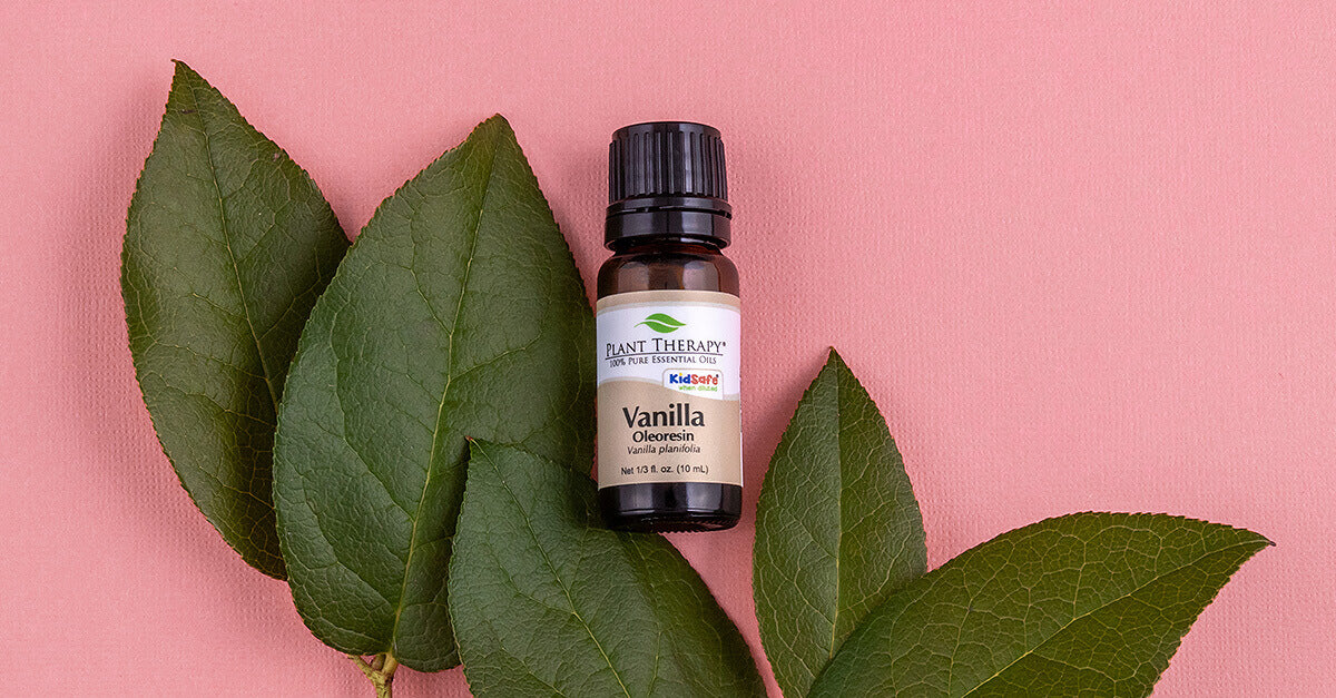 Vanilla Oleoresin: Essential Oil Spotlight of the Week