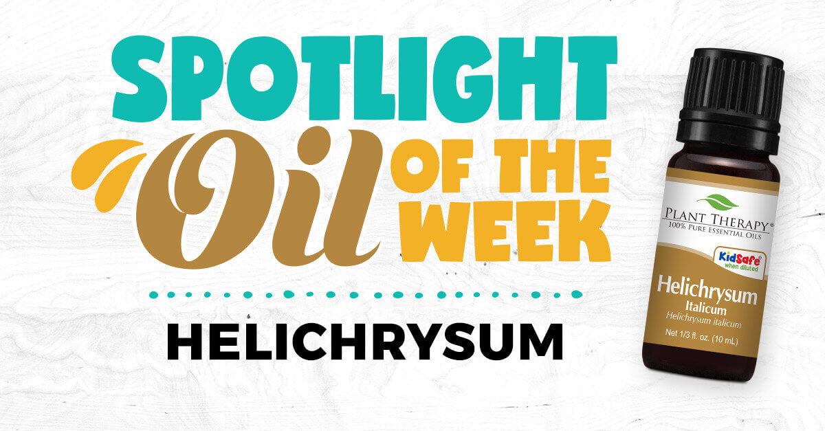 Helichrysum Italicum spotlight oil of the week