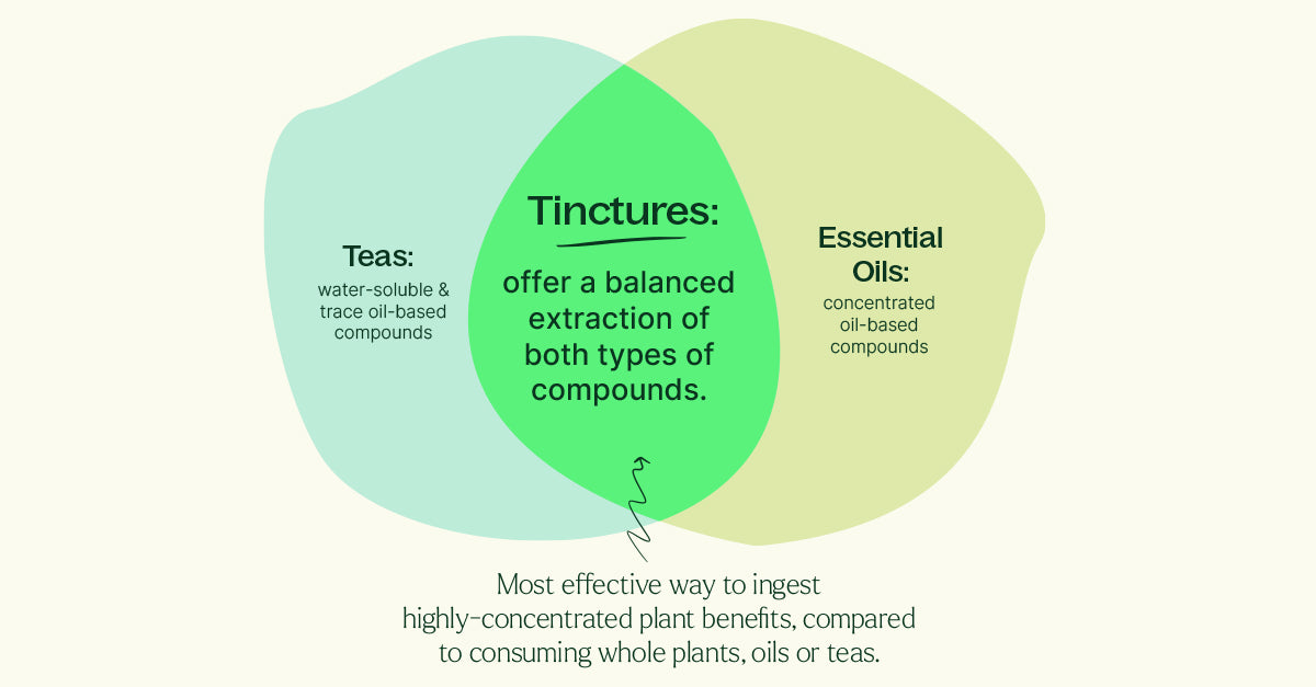 Tinctures vs Essential Oils Diagram