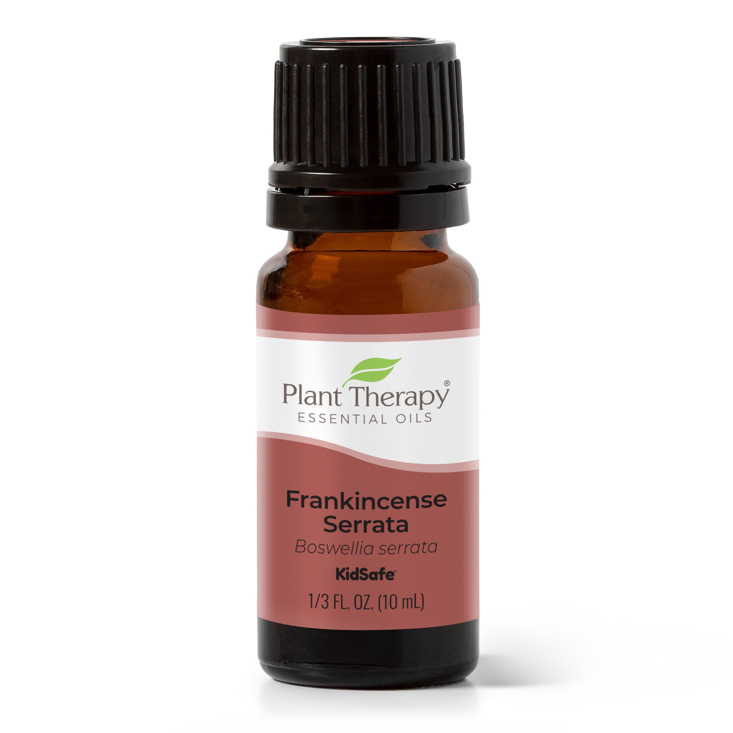 Image of Frankincense Serrata Essential Oil