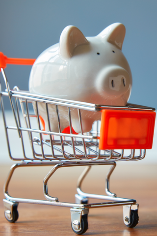 piggy bank in a shopping cart