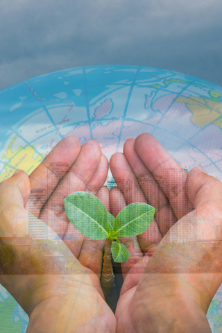 two hands holding a seedling with a city in the background.