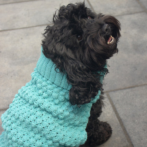 Cloudy Day dog sweater crochet pattern at Stitch and Story