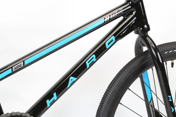 haro race lite cruiser