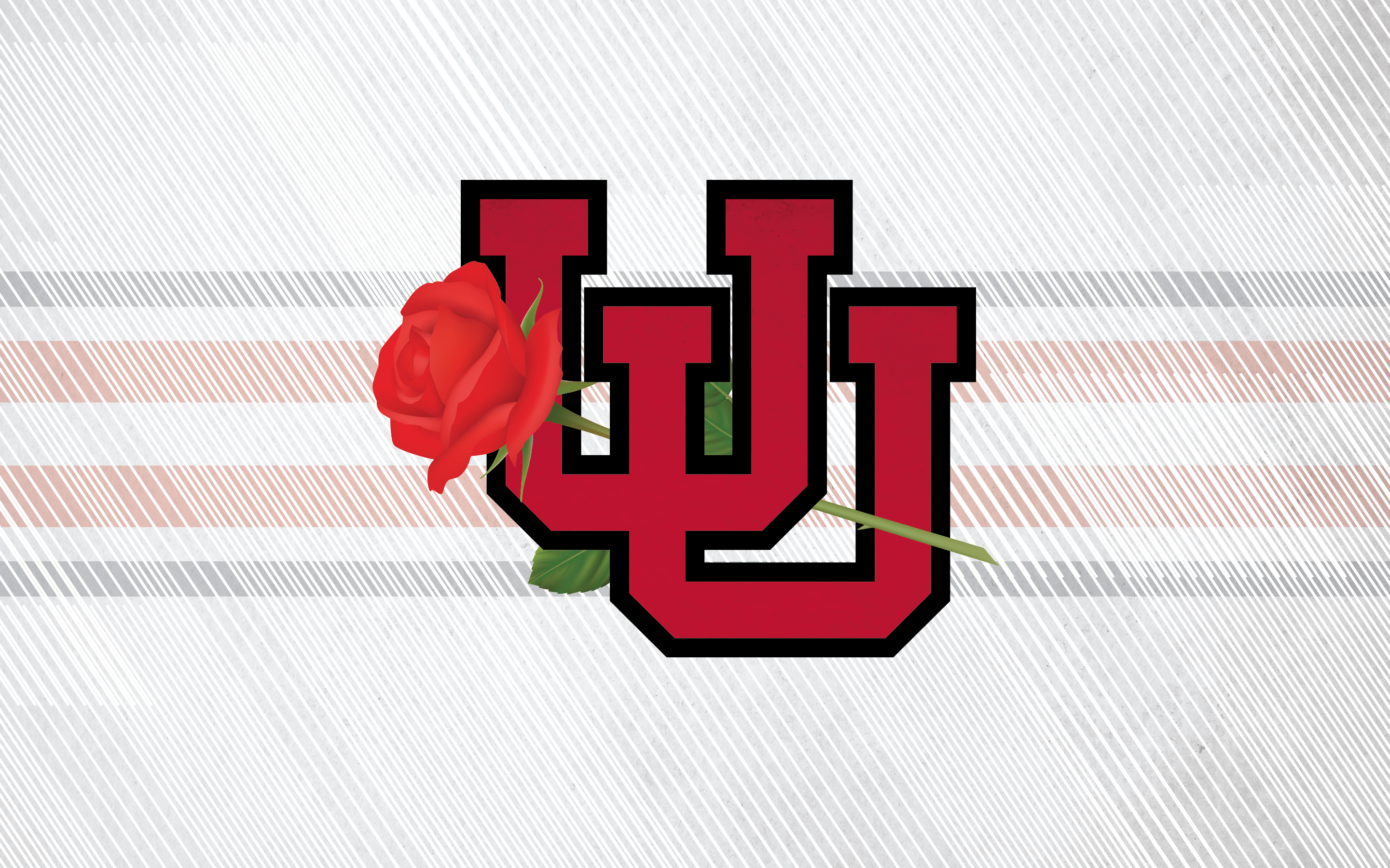 HD utah utes wallpapers  Peakpx