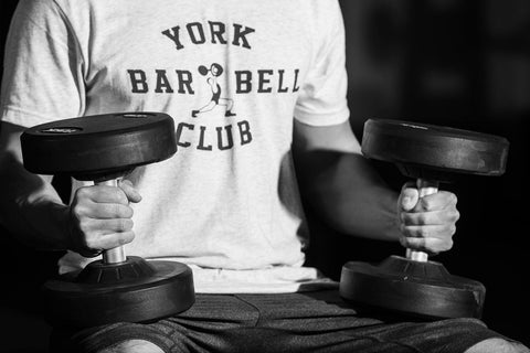 York Barbell Pro-Style Dumbbells