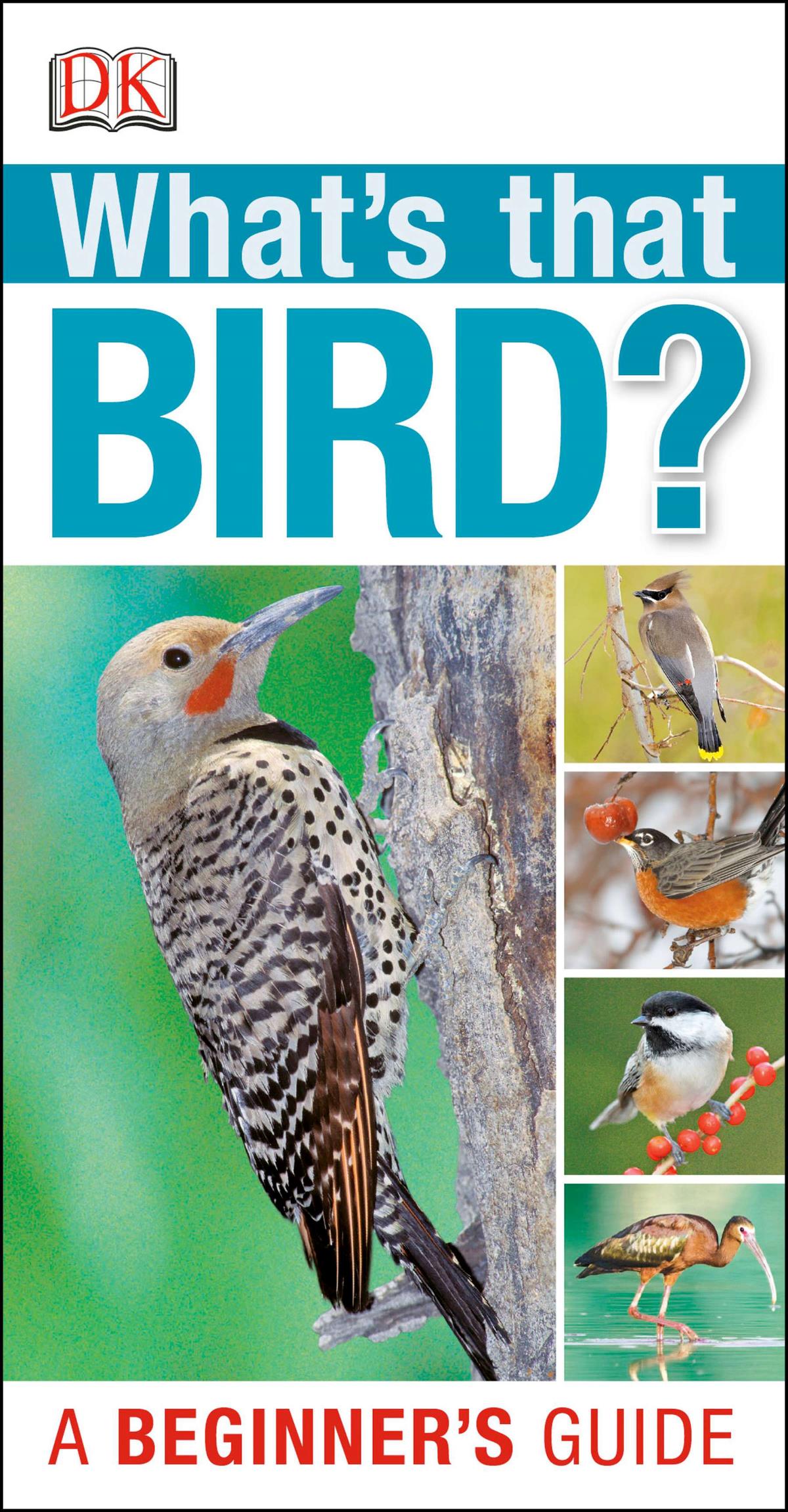 what-s-that-bird-a-beginner-s-guide-avinet-research-supplies