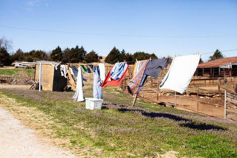 clothes on a clothesline at a farm