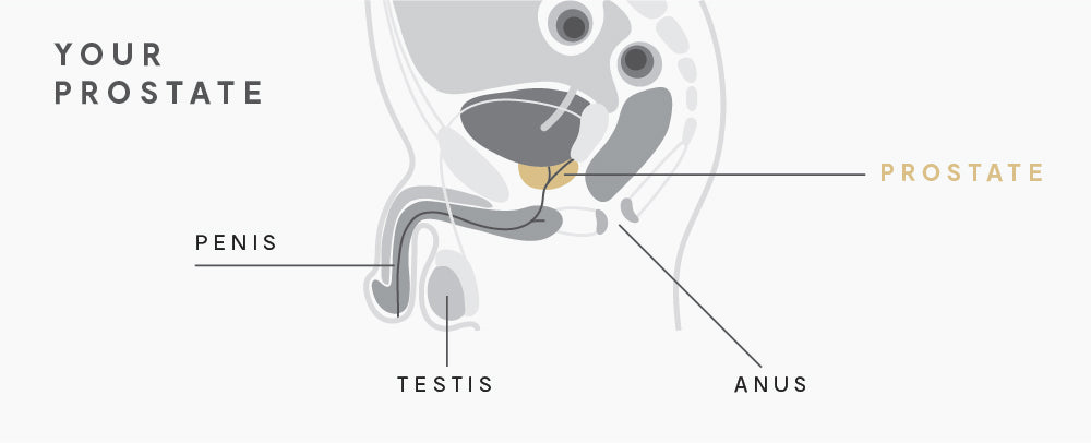 best prostate massager