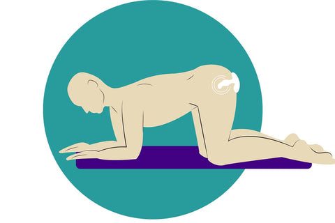 Illustration of a human in a doggy position