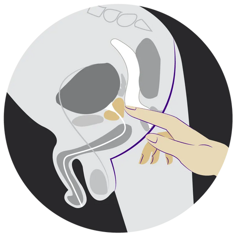 Illustration diagram of a finger inside of a rectum