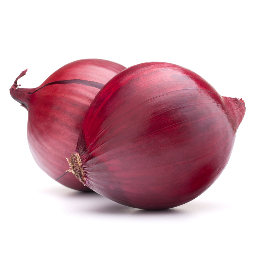 Best Onion Sites 2024