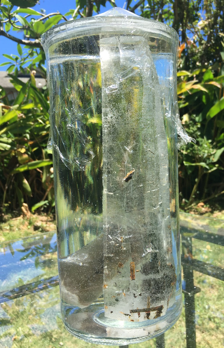 lemurian quartz crystal water 