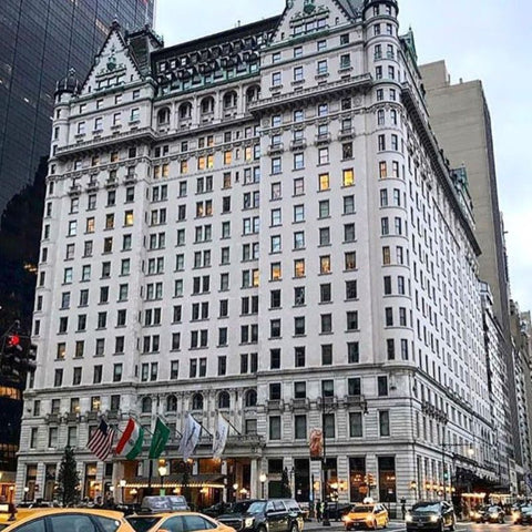 5 Hôtels Les Plus Prestigieux Et élégants De New York Vus