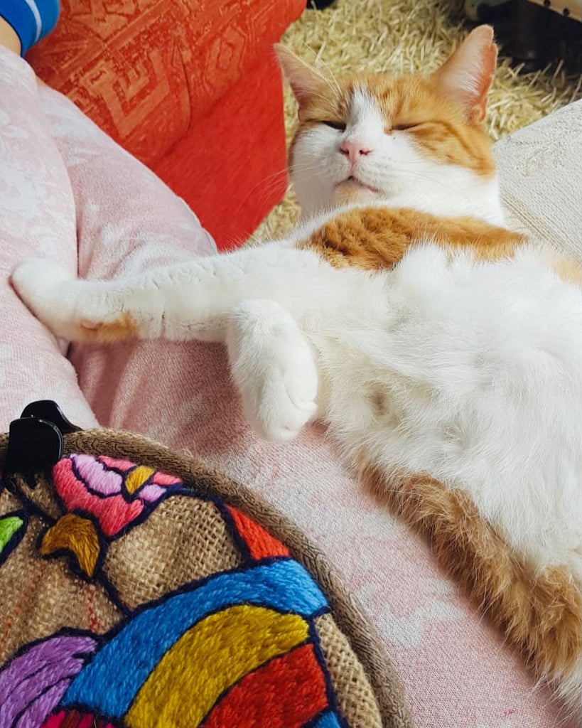 A photograph of a cat lying next to a tapestry in progress 