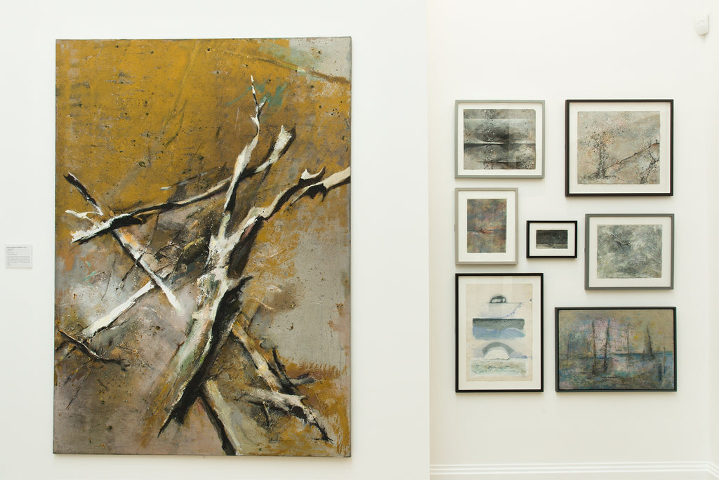 A photograph of one of the gallery walls showing a number of works by artist Anthony Whishaw