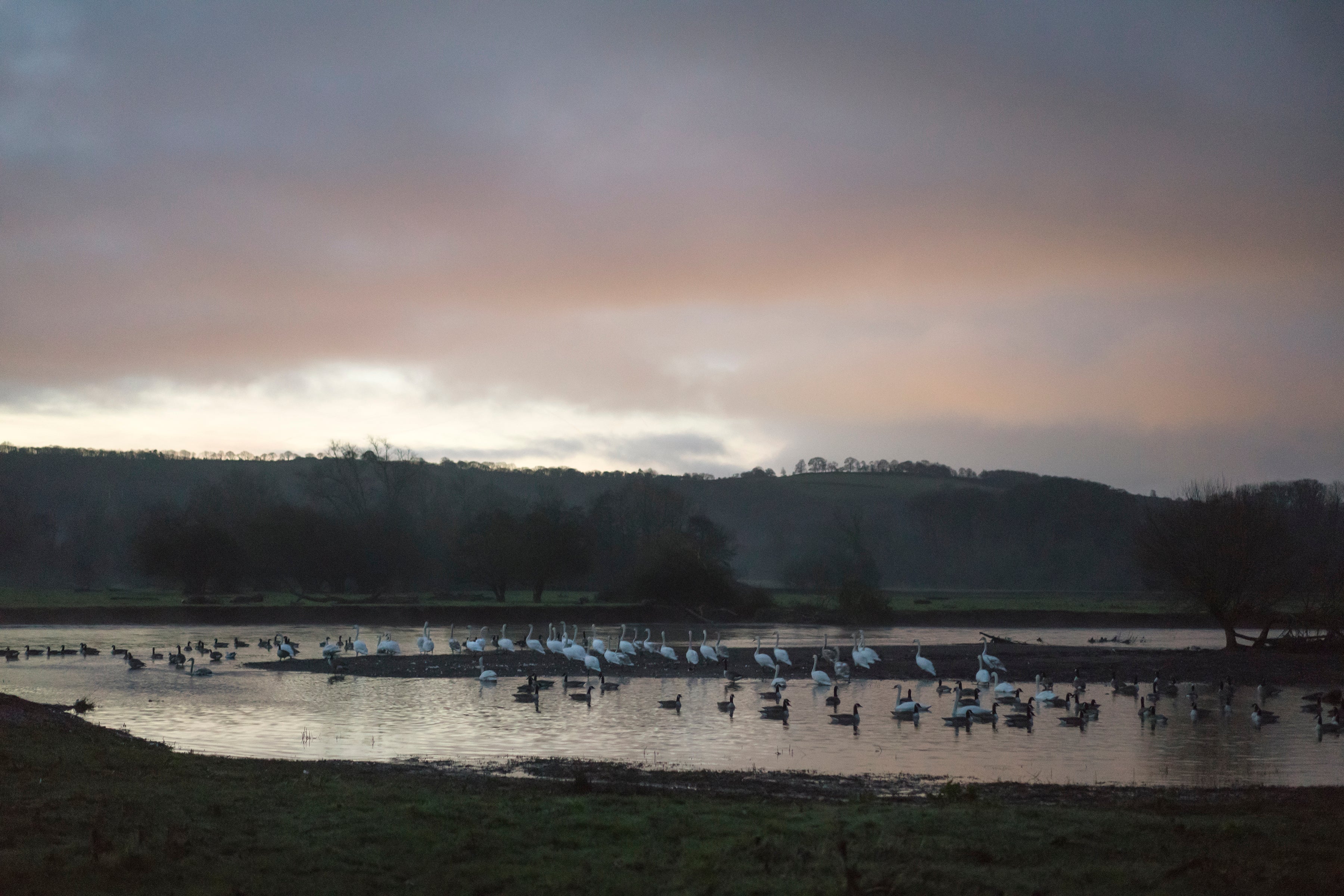 flooded pool jem southam