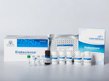 Human ACTH (Adrenocorticotropic Hormone) ELISA Kit
