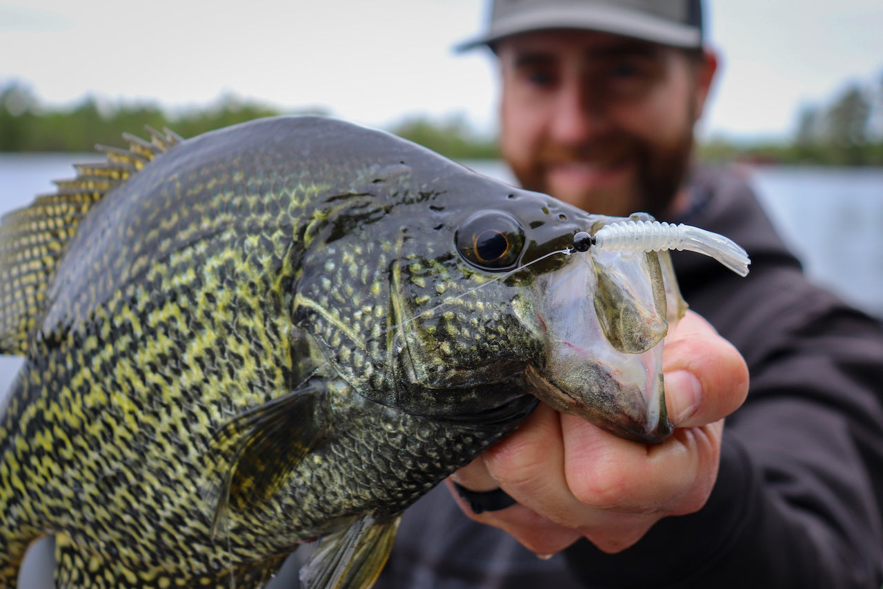 Catch More and Bigger Spring Panfish - St. Croix Rod