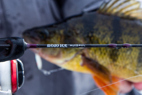 More Choices for Anglers: New Ice Models for 2020/2021 - St. Croix Rod