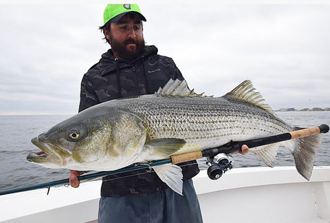 The First 80-Pound Striper on Rod-and-Reel - On The Water