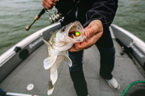 Top Tactics for Springtime 'Eyes - St. Croix Rod