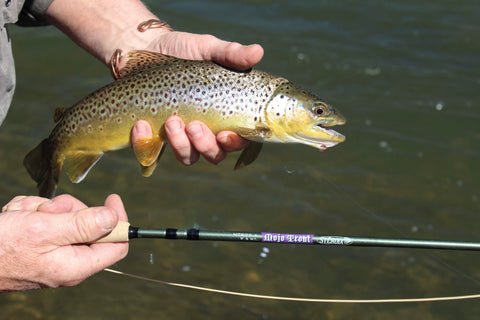 LOADED WITH MOJO… FOR FLY FISHING - St. Croix Rod