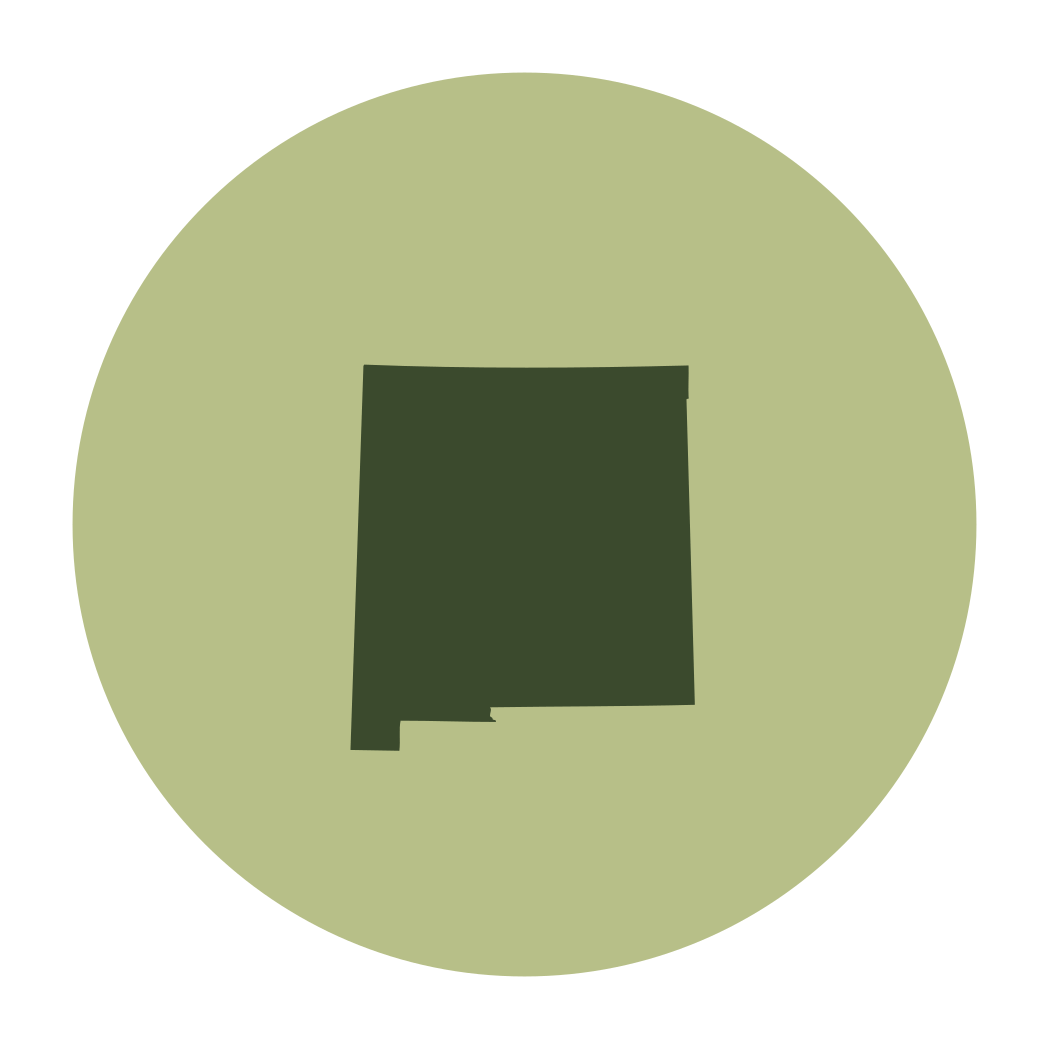 Roblox icon Sage green  Sage green, Green aesthetic, Roblox