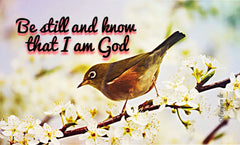 He is with you blog post by forgiven jewelry reference to be still and know I am God pocket card