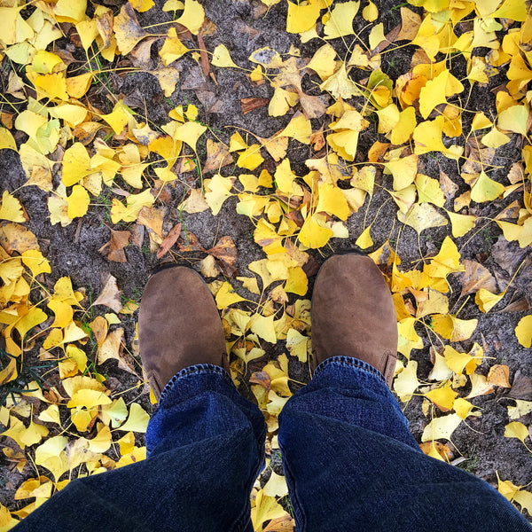 feet in leaves