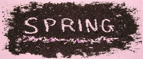 spring MARCH – THE MONTH OF SPRING 