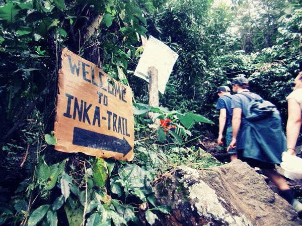camino inka trek de la selva