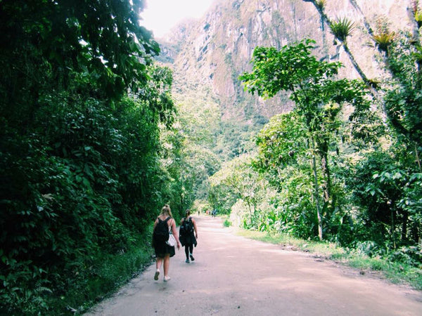 jungle trek cusco