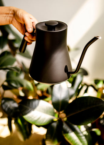 Corvo EKG Electric Kettle – Joe Bean Roasters