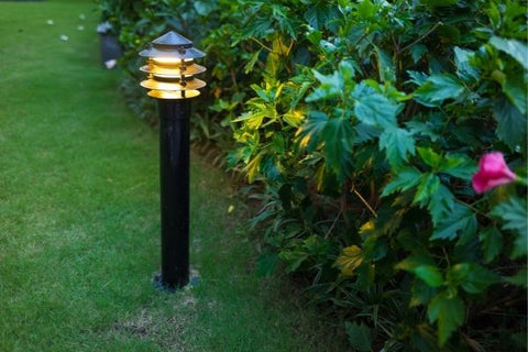 outdoor light erected in a grassy ground near the plants
