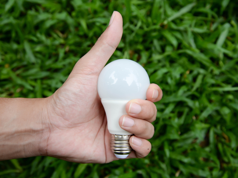 hand holding led bulb