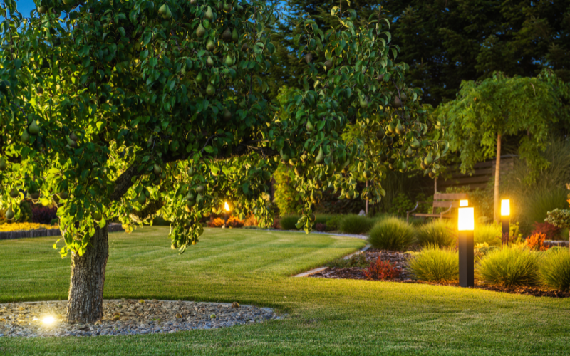 beautiful landscape garden with bollard lights