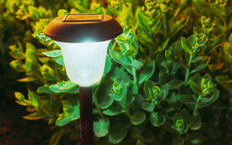 decorative small solar garden light, lantern in flower bed. garden design. solar powered lamp