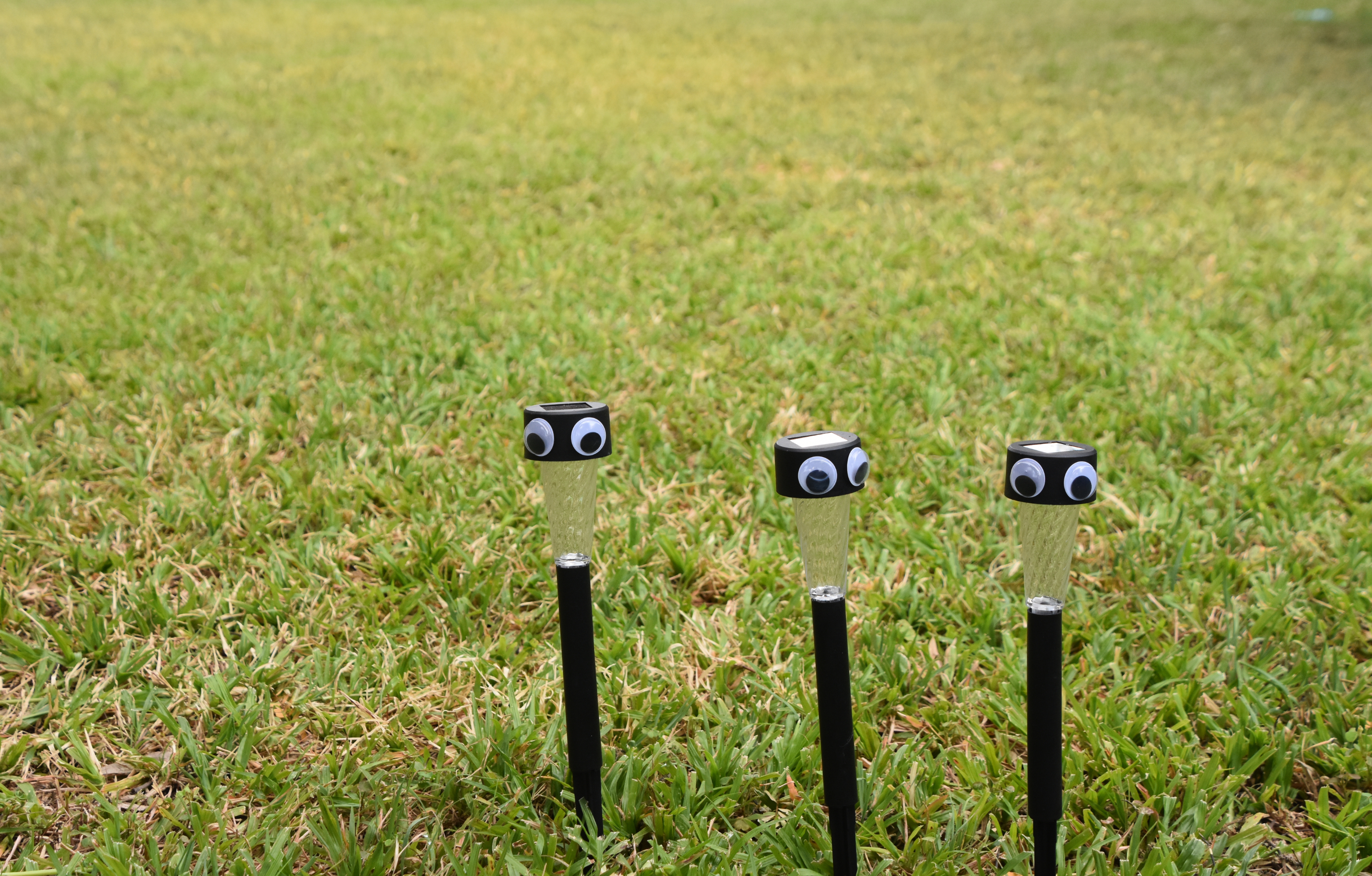 solar lighting with eyes