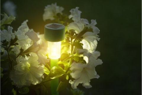 garden stake light surrounded by flowers