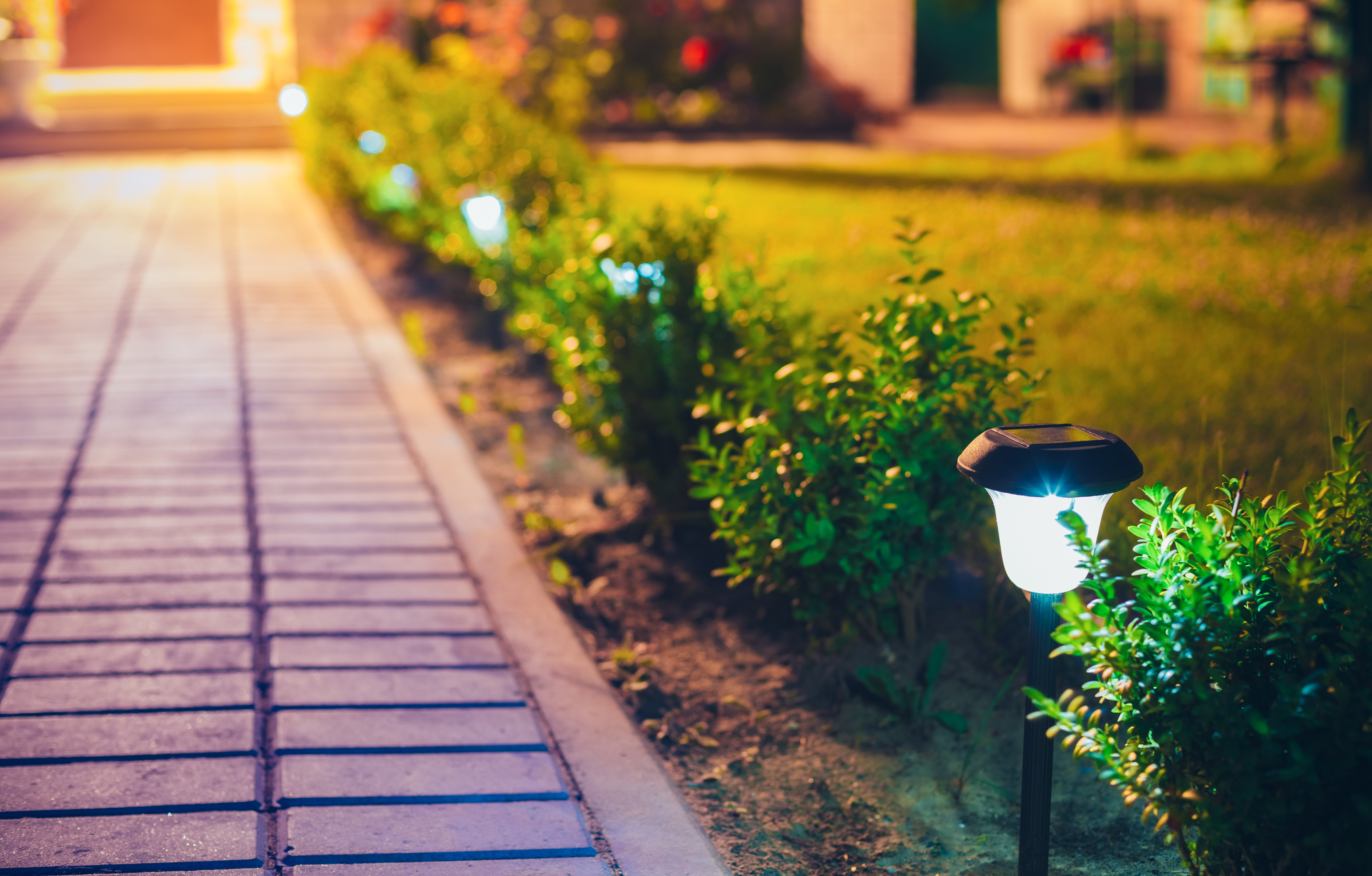 small solar garden light, lantern in flower bed