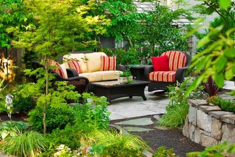 couches outside a home surrounded by plants