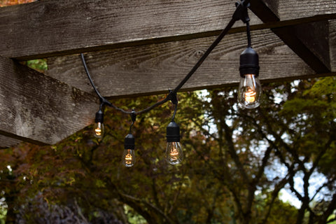 lack light bulbs in a string hanging in a wood