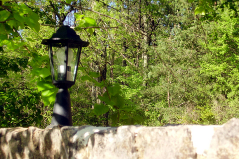 patio lamp attached in a stone wall