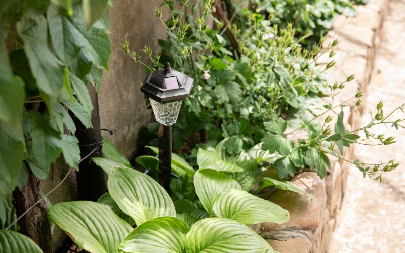 tiny solar garden light