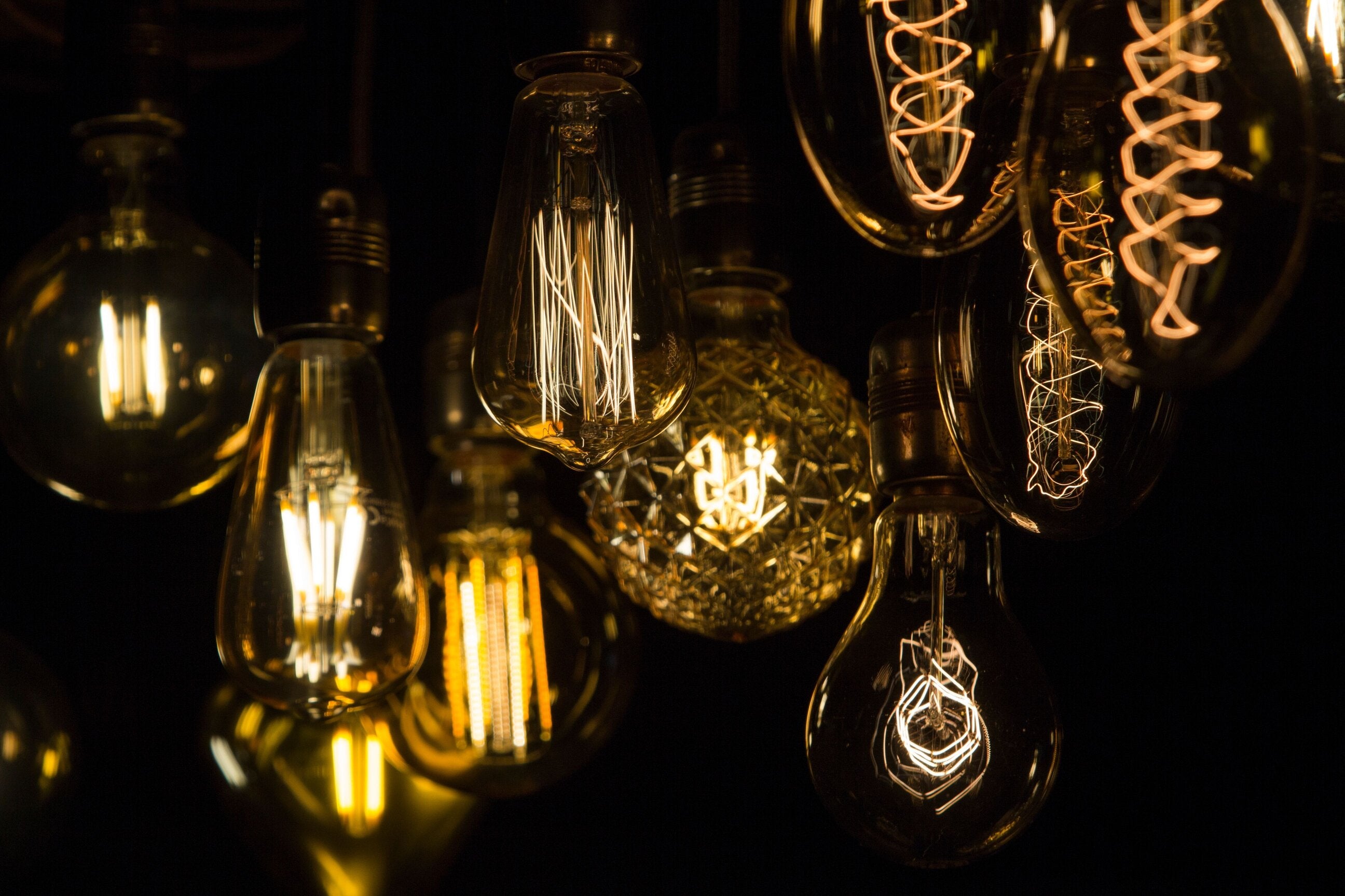 close up image of bulbs